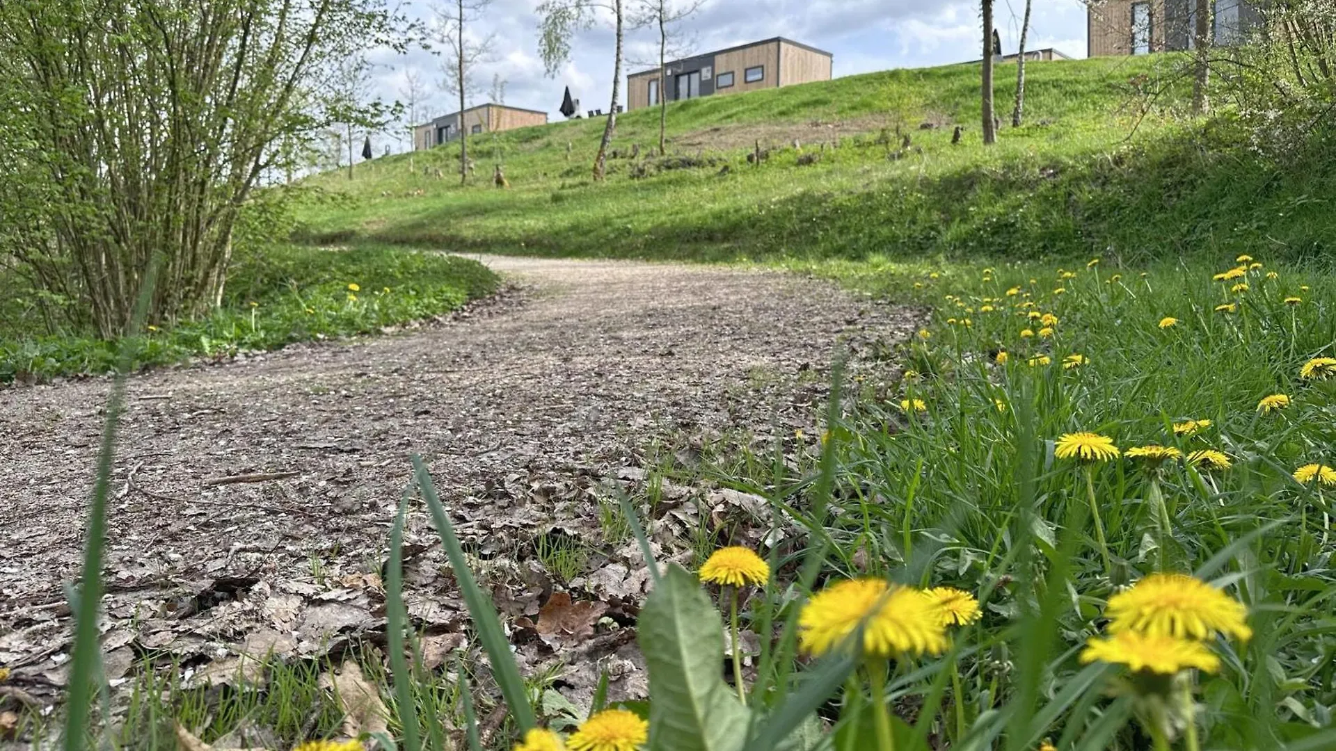 Feriendorf Seeblick - Premium Tinyhouse Mit Sauna Und Hottub Neunburg vorm Wald